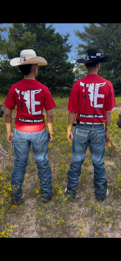 ELM Aztec 2.0